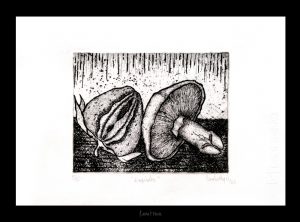 exquisito-bodegc3b3n-exquisite-still-life-etching-aguafuerte-15cm-x-19cm-camila-mejia