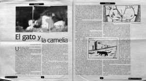 el_gato_y_la_camelia_17-12-2005