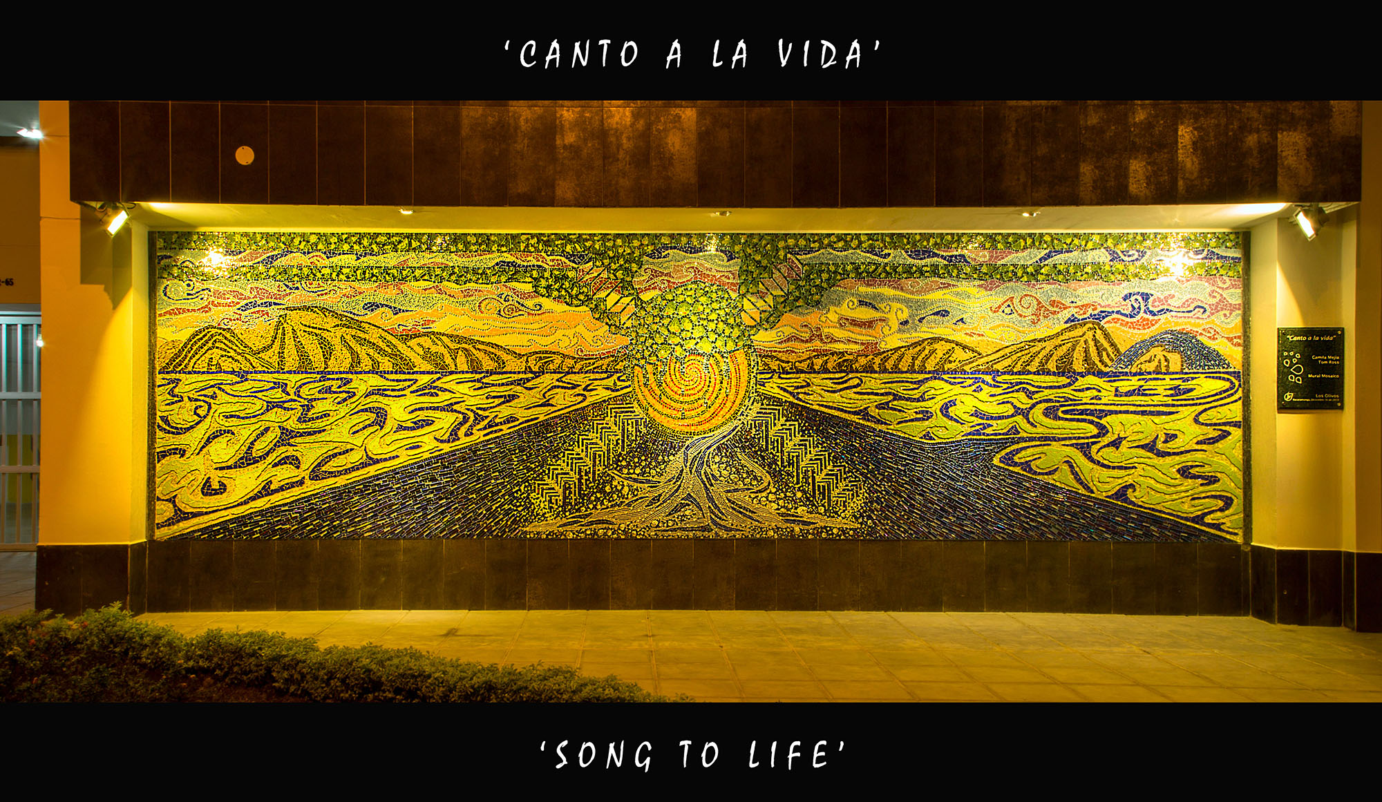 murals-coverdesign-catoalavida